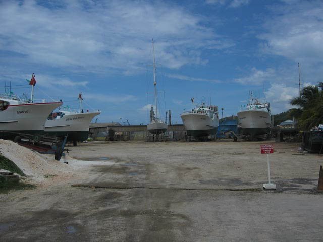 Maravida paint